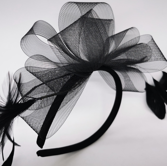 Fascinator Accessories - Fascinator Bird of Paradise Black Plume iridescent